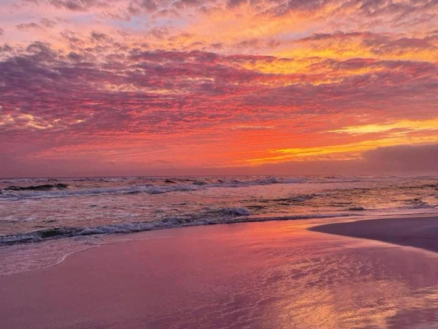 5 Star Resort 11Th Fl Stunning Sunrise 2Br 2Ba King Suite,Pools ,Shuttle Or Walk To Beach Destin Exterior photo